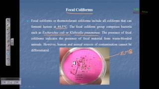 Indicator organism fecal coliform total coliform [upl. by Teodora747]