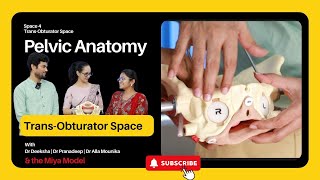 Pelvic Anatomy  Episode 04  TransObturator Space  Obturator Space [upl. by Flodnar]