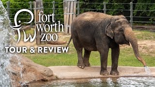 Fort Worth Zoo Tour amp Review  Ranked Best Zoo in Texas amp Among Top Zoos in North America [upl. by Winwaloe700]