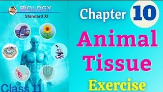 Animal Tissue class 11 biology chapter 10 exercise solutions [upl. by Eilyr]