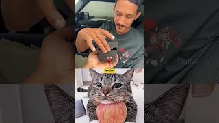 👽 memes trollface cat humor gato funny keşfet viralvideo popular trendingshorts [upl. by Edia]