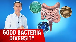 Increase Gut Bacteria Diversity Heres How [upl. by Stoddart]