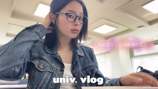 공대생 VLOG 벚꽃중간고사 is coming을 즐기자 🌸  아두이노 토질역학 과제 벼락치기 빠삐코물가상승 중랑천 산책 노천 베이글 [upl. by Eidahs60]