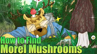 Tips for Finding Morel Mushrooms [upl. by Naujed]