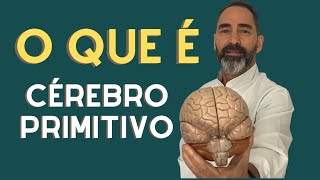 A formação do tubo neural  Encéfalo Primitivo [upl. by Gentes]