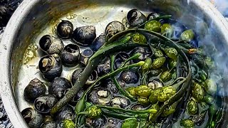 Seafood Forage and Survival How To forage and cook Periwinkles [upl. by Ahsiam]