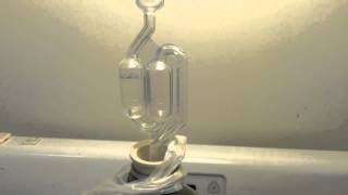 Fermentation Airlock Bubbling beer or wine homebrewing [upl. by Woodberry]