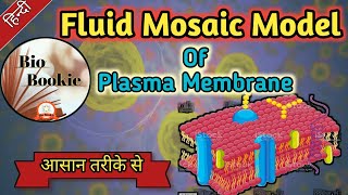 Cell membrane Anatomy and Physiology  Fluid Mosaic Model In Hindi  Plasma Membrane Model [upl. by Yenrab]