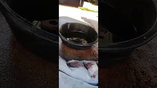 New Cvaxles and Wheel bearings On Ford Escape ford [upl. by Adnael68]