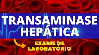 TRANSAMINASES HEPÁTICA  TGOTGP E ALTAST  TUDO SOBRE ÀS TRANSAMINASES HEPÁTICA E ALTERAÇÕES [upl. by Vivyan]