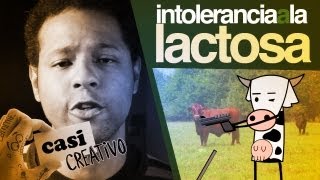 Intolerancia a la lactosa  Casi Creativo [upl. by Neelak]