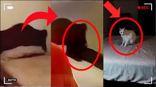 Most Frightening Ghost Videos CAUGHT on Camera And Heres Why [upl. by Richter786]