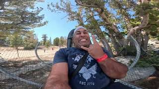 Mountain coaster ride at Lake Tahoe heavenly skiing resort Nevada [upl. by Showker621]