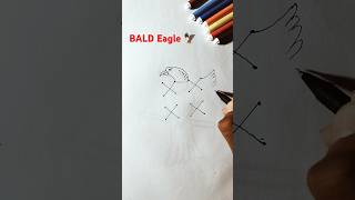 Bald Eagle Drawing eagles birdslover birds drawing [upl. by Adnoluy]