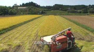 栃木農人第3回：稲刈りA Day of Japanese Rice Farmers Vol3  Rice reaping [upl. by Nitsrik248]