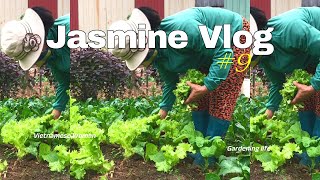 Jasmine Vlog 9 Prepare the soil to plant and pick the vegetables [upl. by Forrest516]