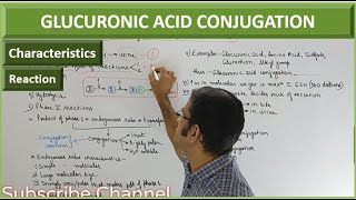 GLUCURONIC ACID CONJUGATION Phase II reaction of Metabolism Biotransformation of Drugs [upl. by Firooc]