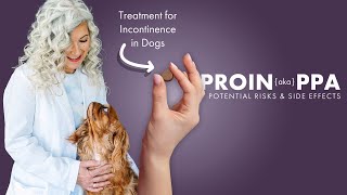 ProinPPA💊Incontinence Medicine for Dogs⚠️Potential Risks amp Side Effects [upl. by Saberio]