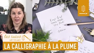 TUTO  Les bases de la calligraphie à la plume avec Noëlie Eternot sur Artesanecom [upl. by Alissa]