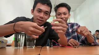 Video praktikum  Larutan Elektrolit dan Non Elektrolit UNM Prodi Matematika Sains Kelas B2 Klp 3 [upl. by Daryle632]