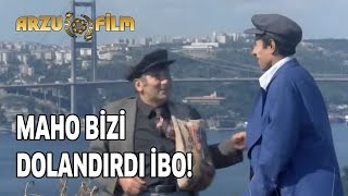 Maho Bizi Dolandırdı İbo  Banker Bilo [upl. by Jeuz]