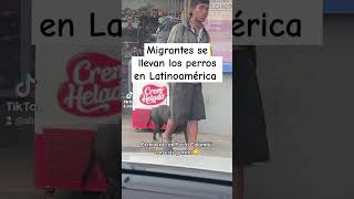 Horrendas caminatas que Migrantes le hacen pasar a los animales de compañía perros robadosmigration [upl. by Samul]