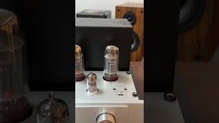 Willsenton R200 with 5881 TUBE INTEGRATED AMPLIFIER WITH BLUETOOTHyoutubeshortstrendingamplifier [upl. by Uhn]