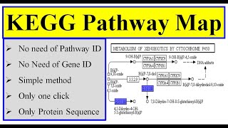 KEGG pathway map in tbtool [upl. by Ahsircal]