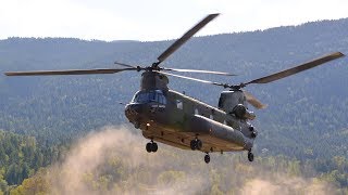 CH147F CH47 Chinook Landing  Worlds Fastest Military Helicopter [upl. by Rifkin531]