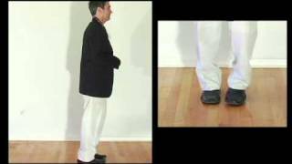 How to do the Cha Cha Slide Dance by DJ Casper RIP [upl. by Kleiman]