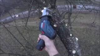 Cordless Saw Bosch GSA 108 VLI Professional vs Tree Branches [upl. by Ahsienom]