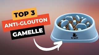 🔥 TOP 3  Meilleure Gamelle AntiGlouton Chien et Chat 2024 [upl. by Heindrick55]