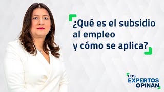 ¿Qué es el subsidio al empleo y cómo se aplica [upl. by Tahp]