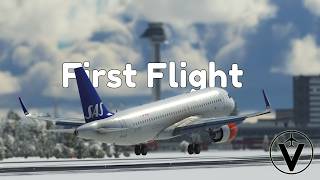 My first SOLO VATSIM flight stressful [upl. by Camroc]