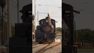 Illinois Railway Museum Showcase Weekend 2020 Shay number 5 backs up shorts fyp irm railfan [upl. by Neelav]