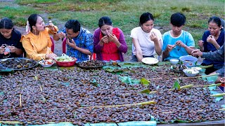 Finding CLAMS amp MUSSELS To Make Sun Dried Spicy Clam amp Mussels  Delicious Food in Village [upl. by Accebor]