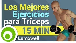 Los 5 Mejores Ejercicios para Tríceps [upl. by Nataline579]