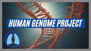 Human Genome Project Explained [upl. by Attenyl]