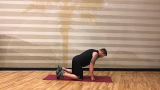 Ski Abs  Core Exercise [upl. by Dixil]