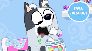 Muffin Moments 💜 ✨  Best Bluey Full Episodes AND Muffin Unboxing  Bluey [upl. by Peisch]