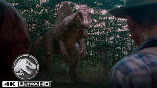 Jurassic Park 3  The Spinosaurus Chase in 4K HDR [upl. by Kimmel]