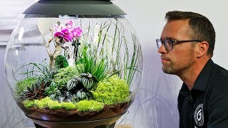 biOrb AIR 60  Full Step by Step Tutorial Terrarium Scape [upl. by Nicki]