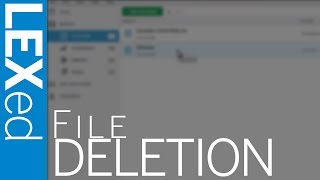 LEXed File Deletion [upl. by Aidyn]