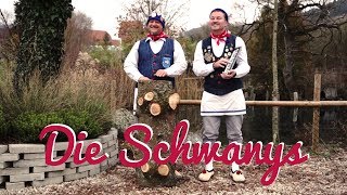 Die Woodys  Fichtl‘s Lied Parodie Die Schwanys Narrenverein Schwanenmühle Unterlauchringen [upl. by Bonar]