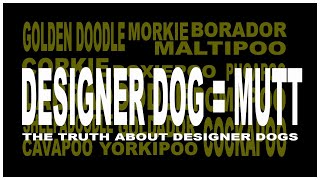 Designer Dogs are Mutts from Puppy mills  Internet Breeders are Puppymills [upl. by Tyre]