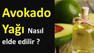 Avokado Yağı Nasıl elde edilir [upl. by Aimerej]