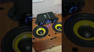 💥SPEAKER VS GOLD BRACELET🔥Extreme Bass Test Subwoofer🔊woopker s288 audio bassboost hifi shorts [upl. by Annaul]