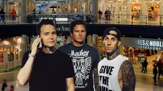 All The Mall Things blink182 parody [upl. by Eiznik535]