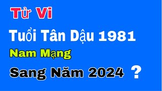 Tử vi tuổi Tân Dậu 1981 nam mạng bước sang năm 2024 sẽ như thế nào [upl. by Lorn]