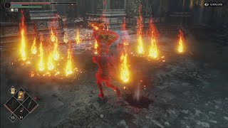 Demons Souls PS5  Fire Spray owns Firestorm [upl. by Sherrard938]